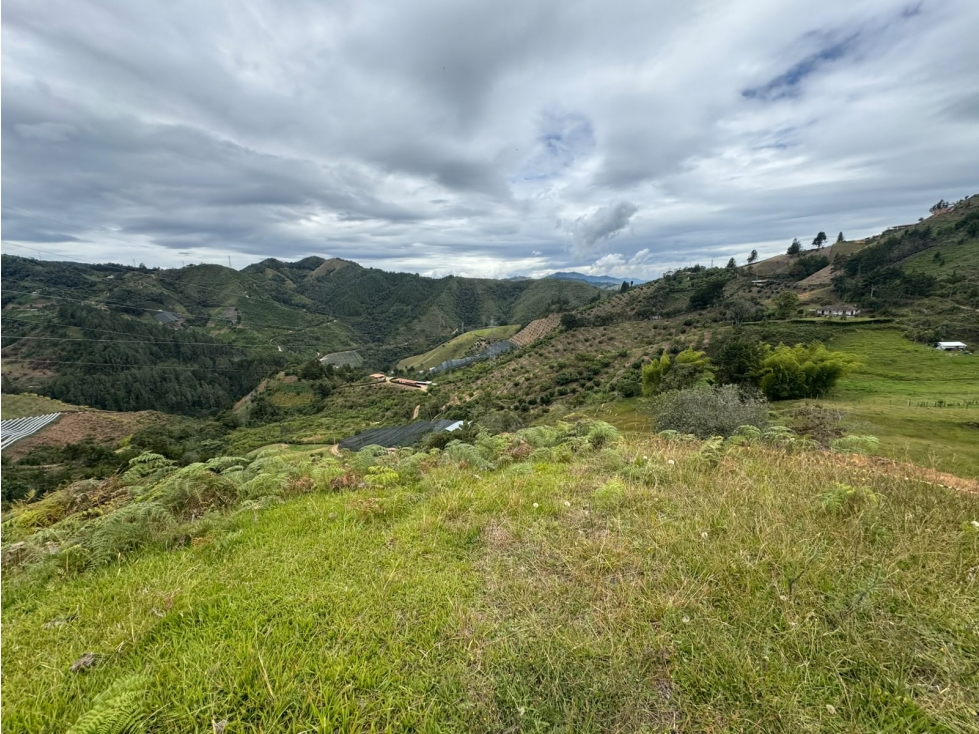 VENDO LOTES CAMPESTRES EN LA CEJA ANT DESDE 240 VIA LA CEJA ABEJORRAL — foto 6