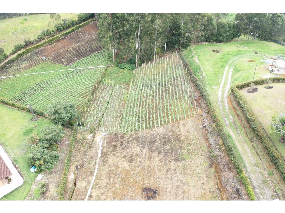 VENDO LOTE SEMI PLANO A 7 MINUTOS DE LA CEJA- 750 MILLONES - 2