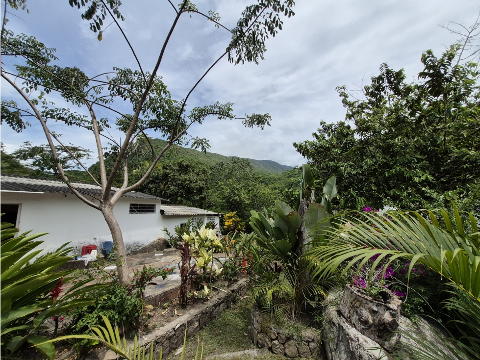 Venta Casa Campestre Ideal para Rentas Cortas en El Boquerón Tolima - 6