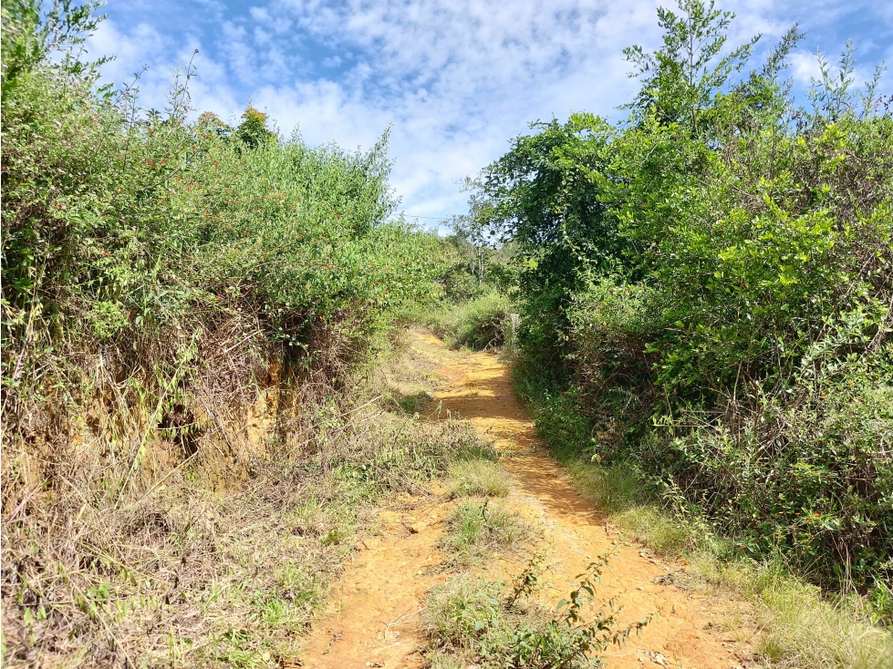 VENTA EXCELENTE LOTE UBICADO EN BARICHARA SANTANDER - 3