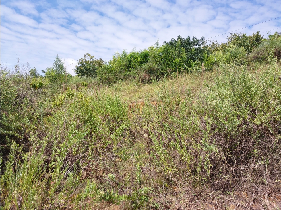 VENTA EXCELENTE LOTE UBICADO EN BARICHARA SANTANDER - 6