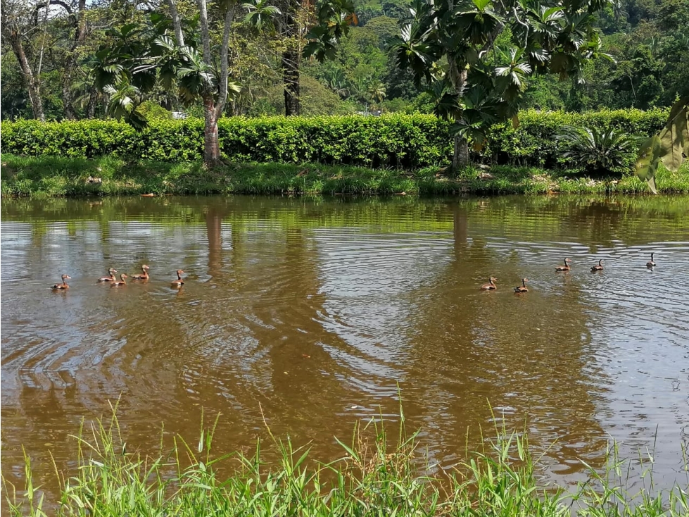 Vendo o Permuto Finca en Melgar Tolima | Proyecto Turístico - 2