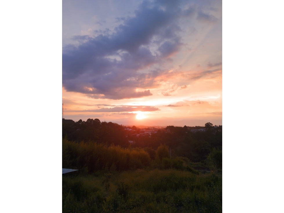 VENDO HERMOSA FINCA A 5 MINUTOS DE LA AVENIDA DEL CAFÉ — foto 2
