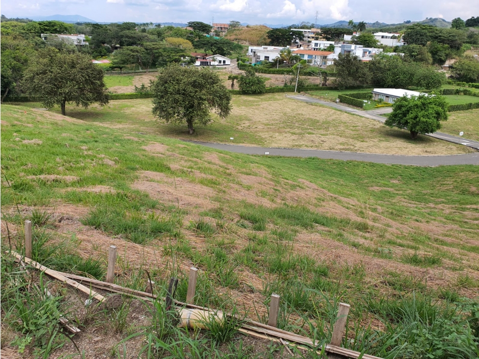 VENDEMOS LOTE CAMPESTRE CON EXCELENTE VISTA EN CARTAGO - 1