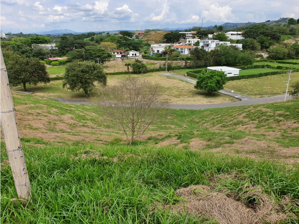 VENDEMOS LOTE CAMPESTRE CON EXCELENTE VISTA EN CARTAGO - 3