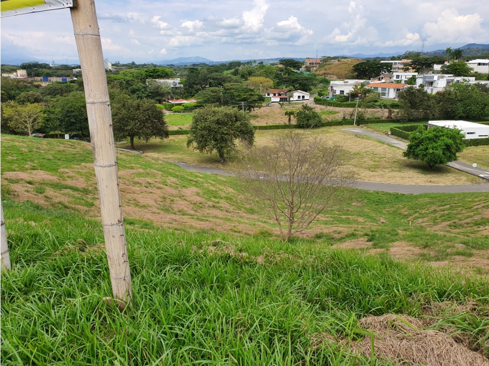 VENDEMOS LOTE CAMPESTRE CON EXCELENTE VISTA EN CARTAGO - 2