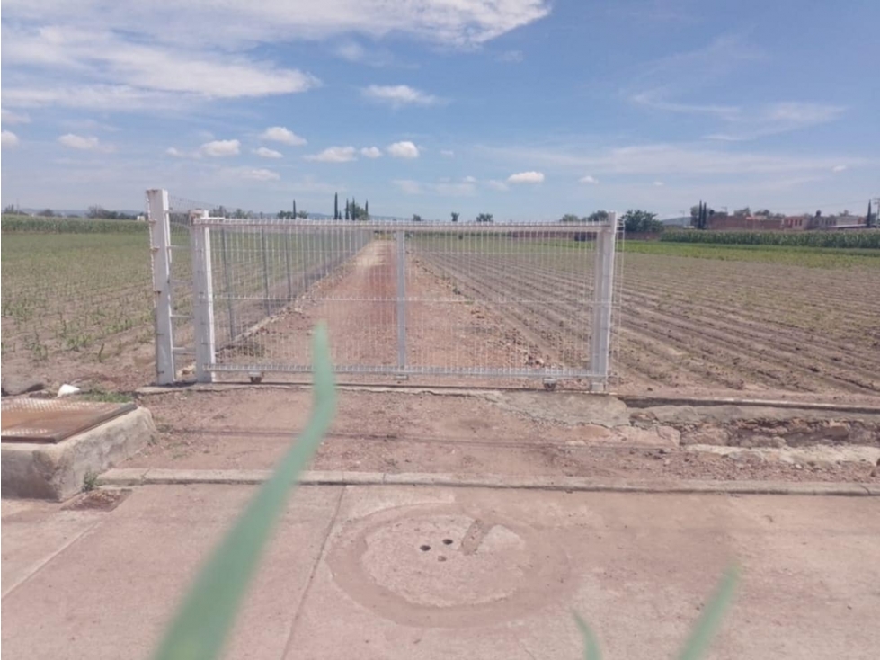Venta de Terreno en Río Grande La Piedad, Michoacán - 1