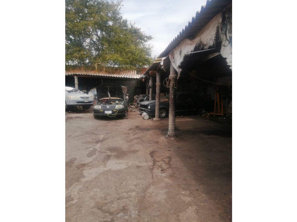 Venta de Terreno Col. 3 Estrellas, La Piedad Michoacán - 5