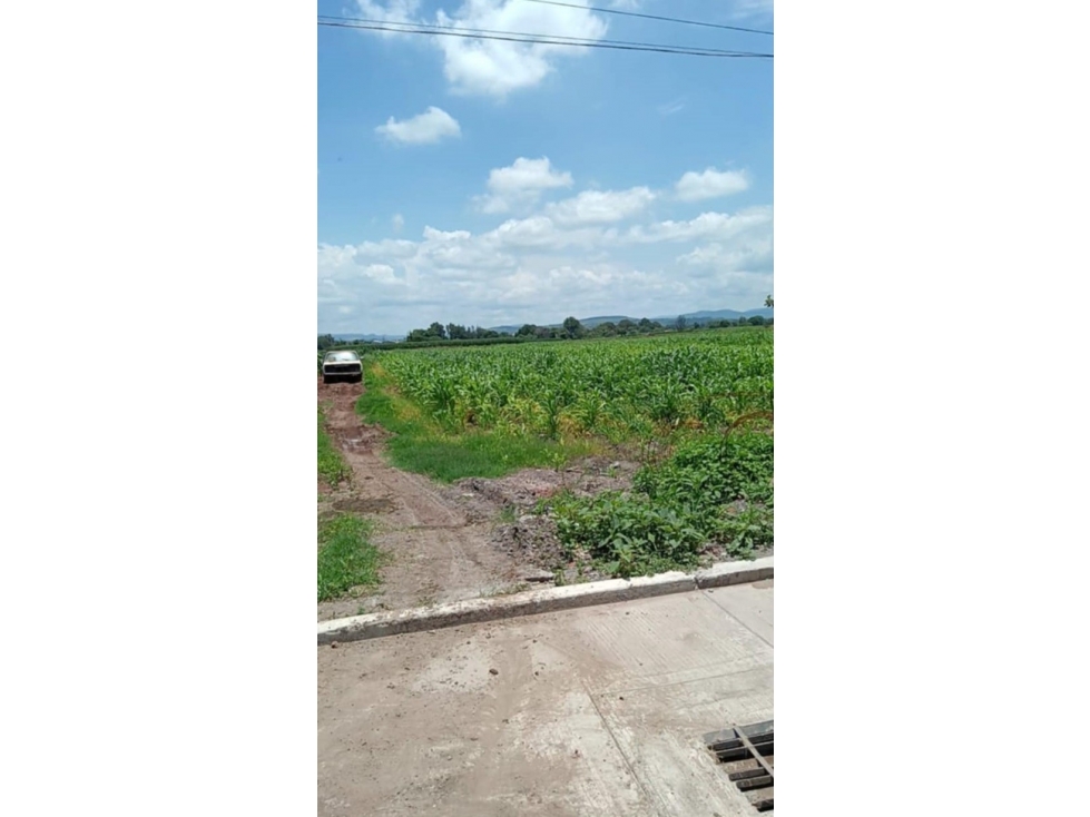 Venta de Terreno en Río Grande La Piedad Michoacán - 3