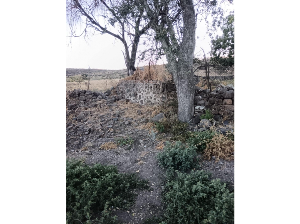 Venta de Terreno en el Tigre La Piedad Michoacán - 3