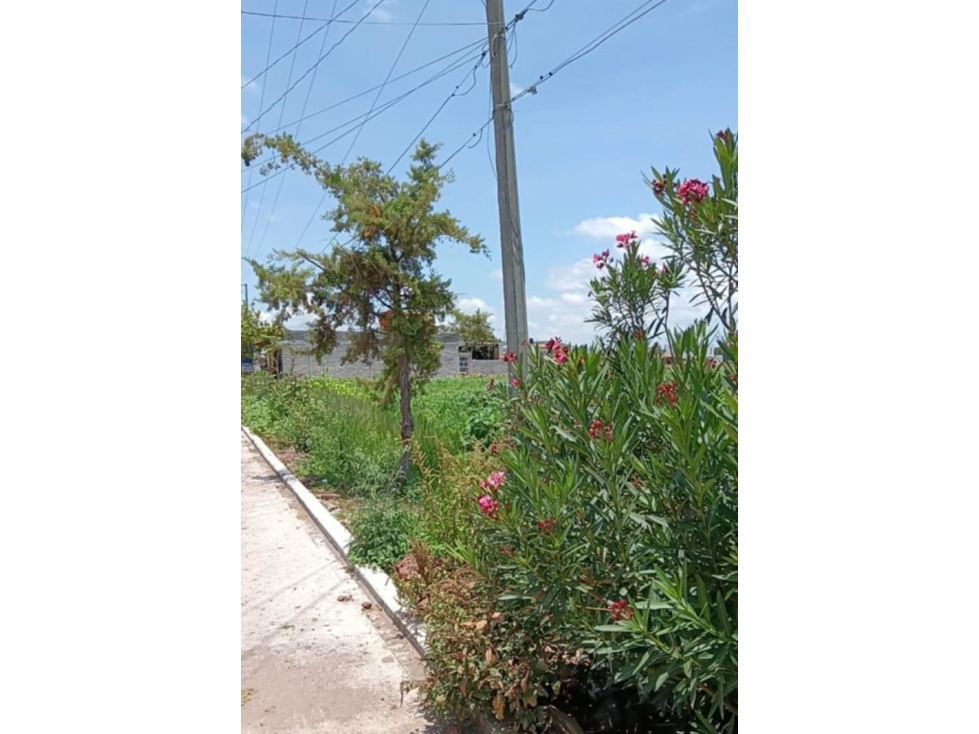 Venta de Terreno en Río Grande La Piedad Michoacán - 2