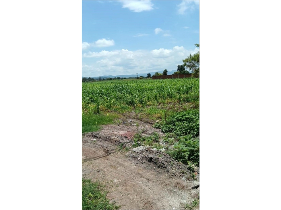 Venta de Terreno en Río Grande La Piedad Michoacán - 4