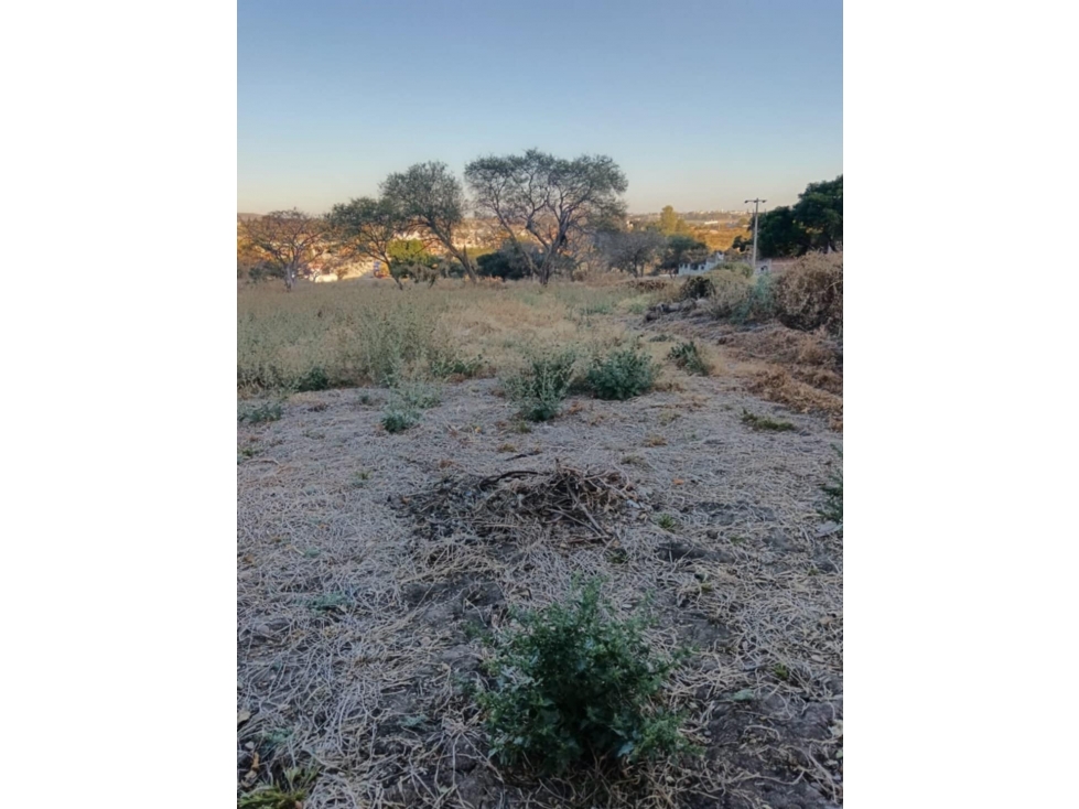 Venta de Terreno en el Tigre La Piedad Michoacán - 5