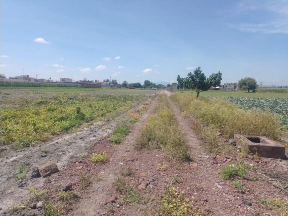 Venta de Terreno en Río Grande La Piedad, Michoacán - 5