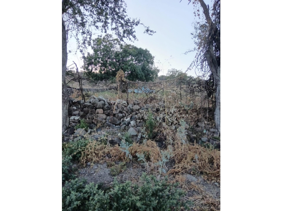 Venta de Terreno en el Tigre La Piedad Michoacán - 6