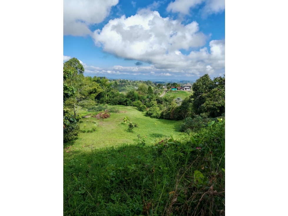 SE VENDE LOTE UBICADO EN LA VEREDA EL JORDAN-PEREIRA — foto 2