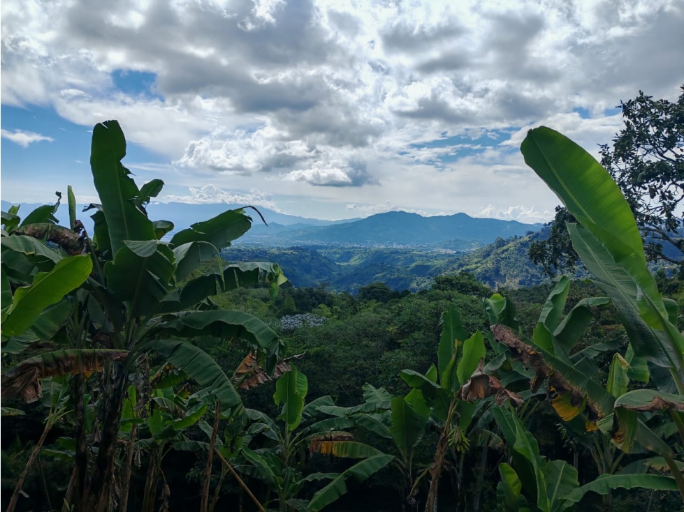 VENTA DE LOTE UBICADO EN LA VEREDA EL JORDAN VIA PEREIRA-ARMENIA — foto 3