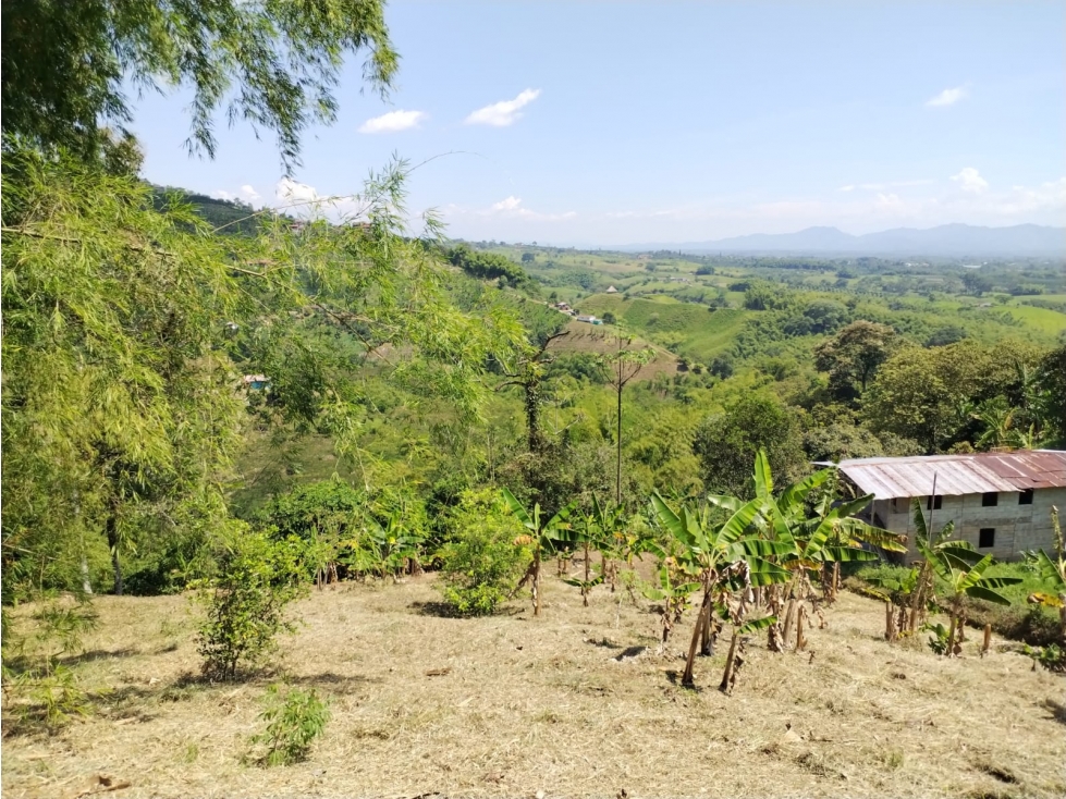 LOTE EN VENTA VIA ALTAGRACIA-PEREIRA — foto 6