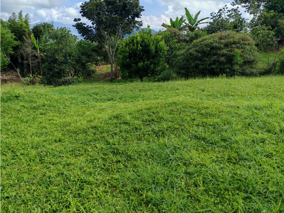 SE VENDE LOTE UBICADO EN LA VEREDA EL JORDAN-PEREIRA — foto 4