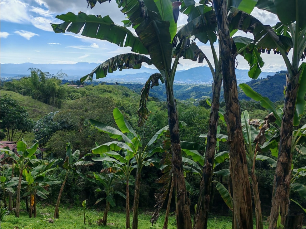 VENTA DE LOTE UBICADO EN LA VEREDA EL JORDAN VIA PEREIRA-ARMENIA — foto 4