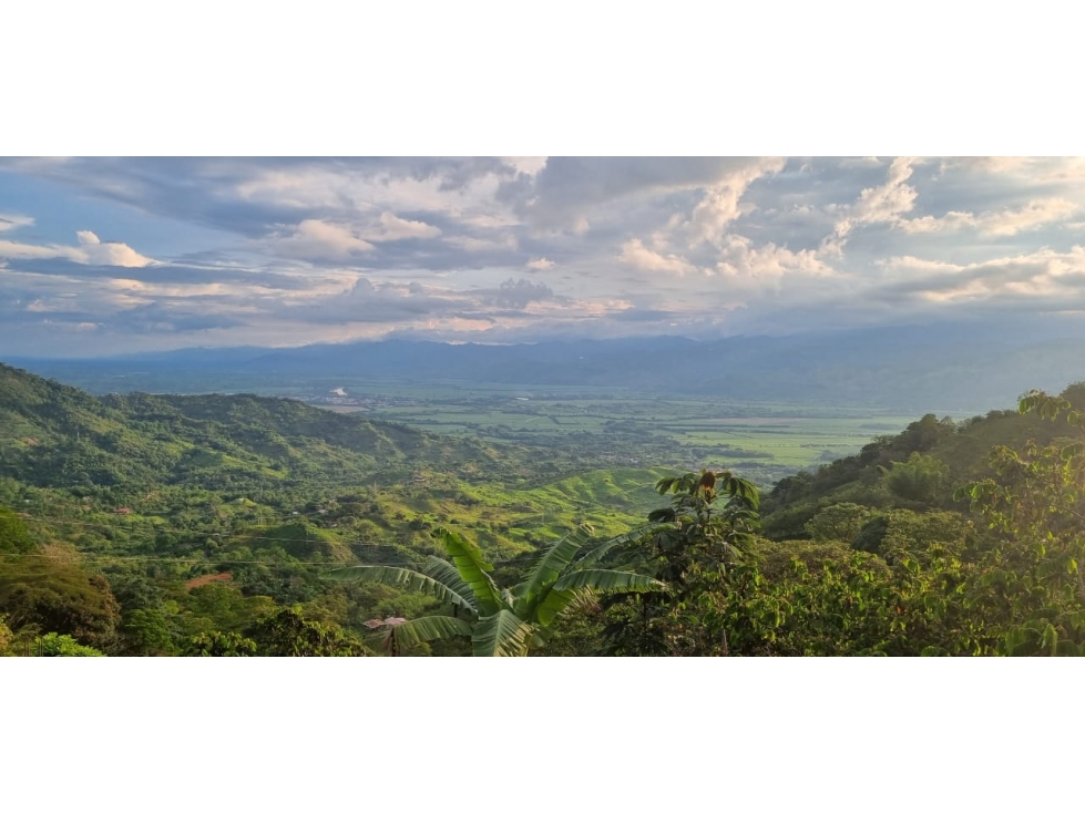 SE VENDE FINCA CAMPESTRE VIA LA FLORIDA-LA BELLA EN PEREIRA