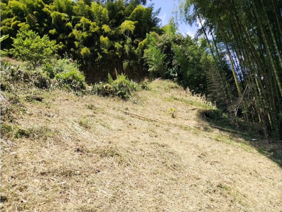 LOTE EN VENTA VIA ALTAGRACIA-PEREIRA — foto 2