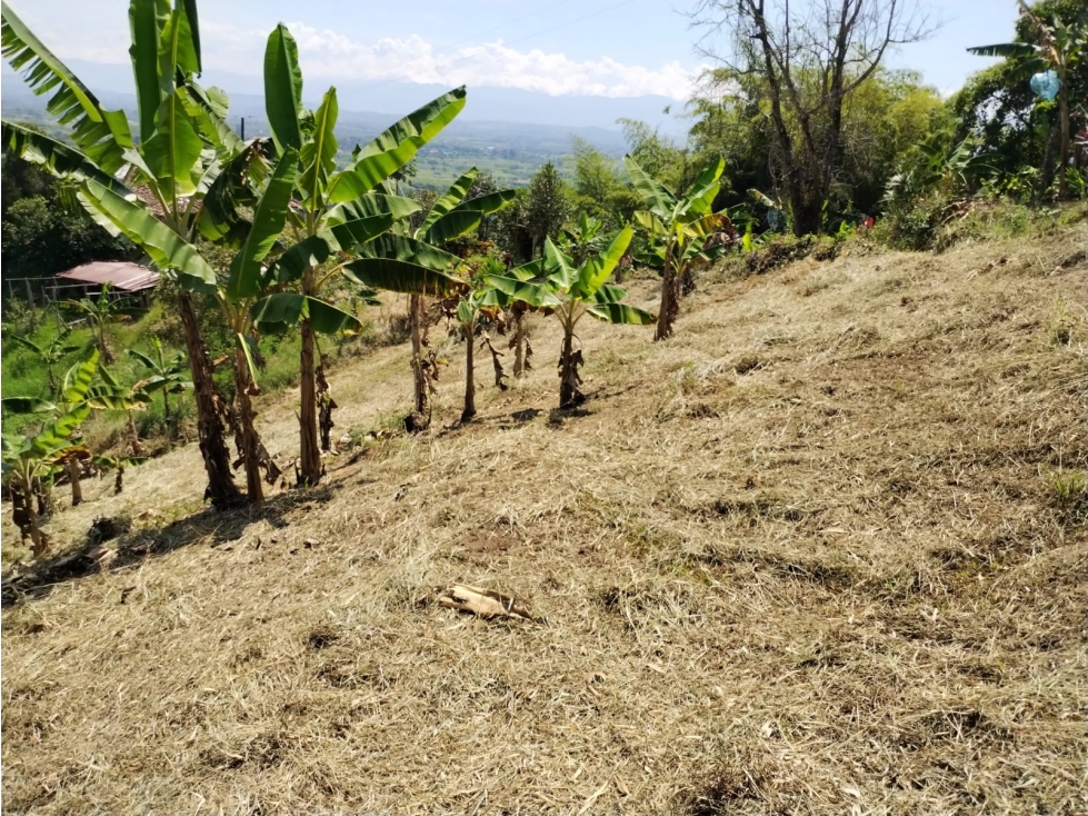 LOTE EN VENTA VIA ALTAGRACIA-PEREIRA — foto 3
