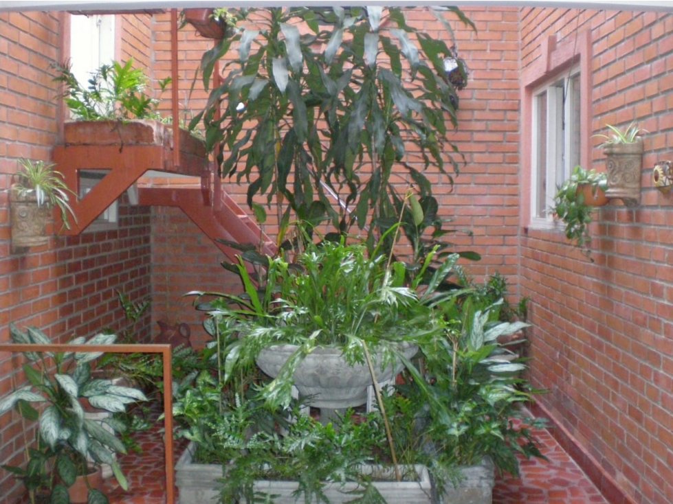 Casa para proyecto de vivienda Santa teresita — foto 4