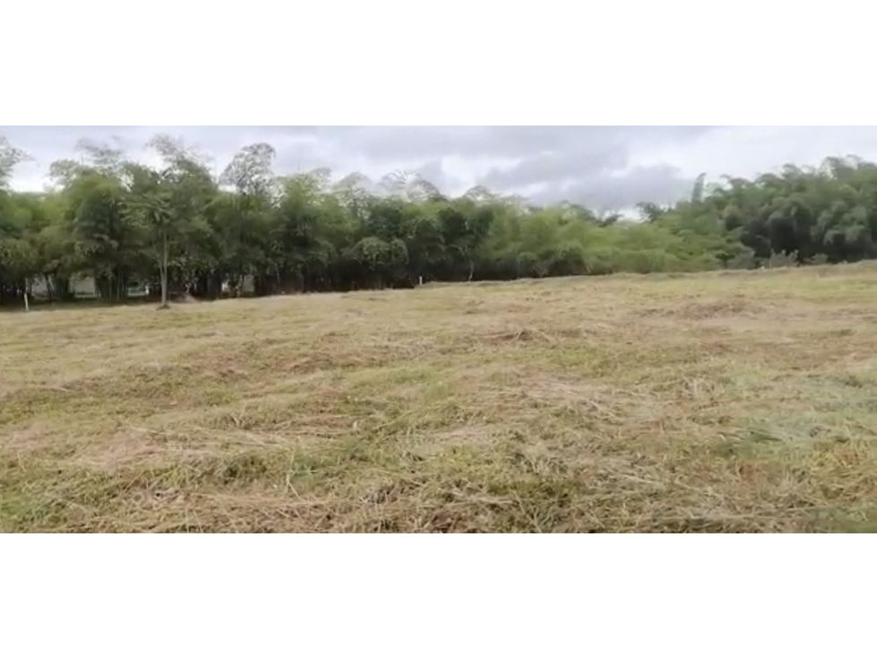 SE VENDE LOTE CAMPESTRE EN SECTOR CERRITOS PEREIRA — foto 2