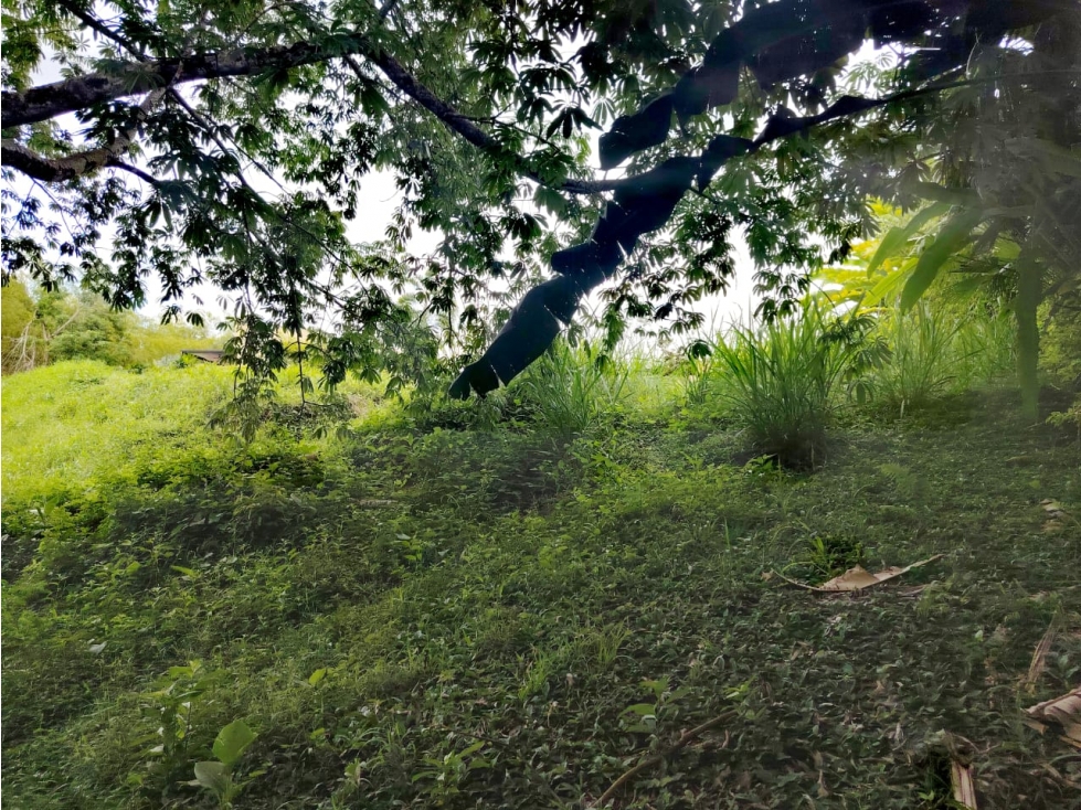 VENDEMOS LOTE CAMPESTRE MOCAWA, TEBAIDA QUINDÍO - 5
