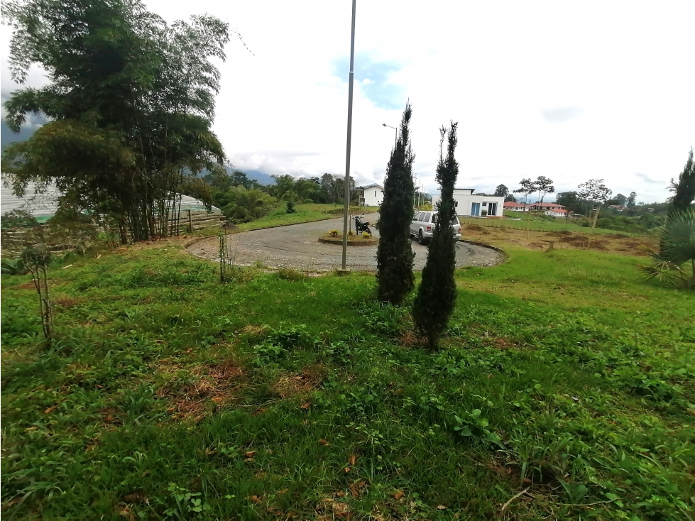 SE VENDE LOTE CAMPESTRE CONJUNTO RESIDENCIAL, CALARCA - 3