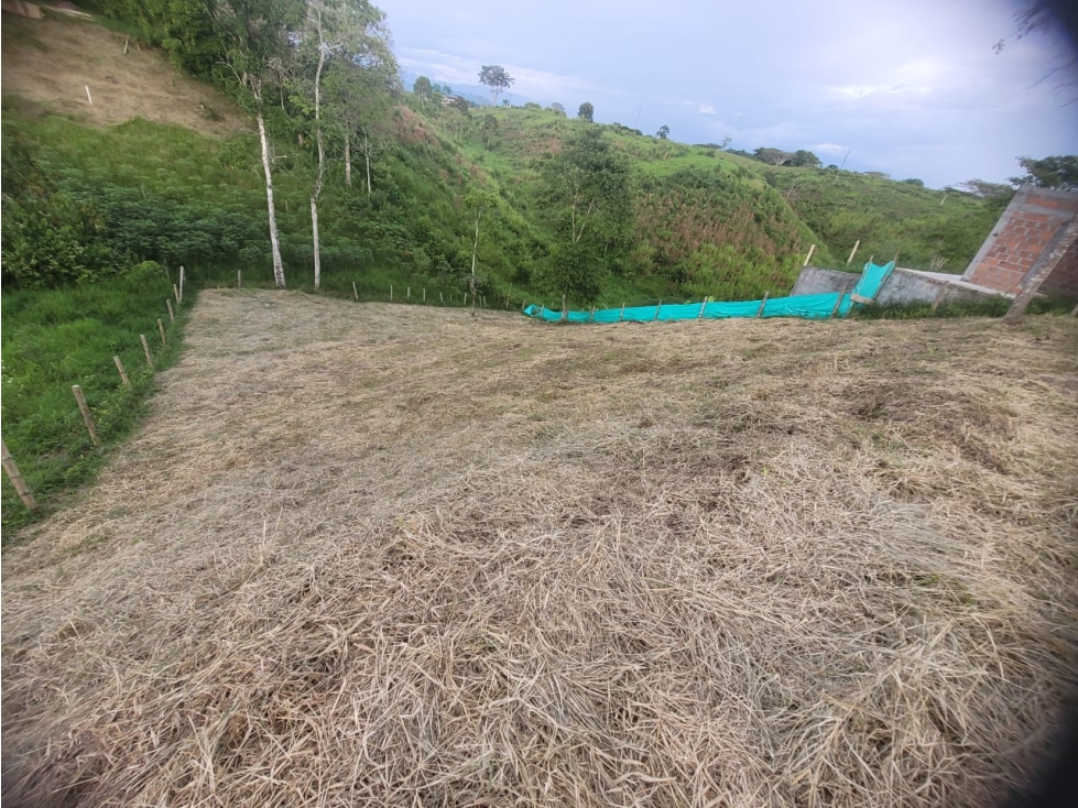 SE VENDE LOTE CAMPESTRE EN VALLE DEL CAUCA - 6
