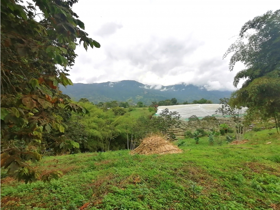 SE VENDE LOTE CAMPESTRE CONJUNTO RESIDENCIAL, CALARCA - 1