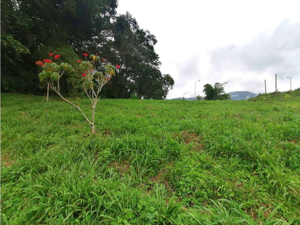SE VENDE LOTE CAMPESTRE CONJUNTO RESIDENCIAL, CALARCA - 6