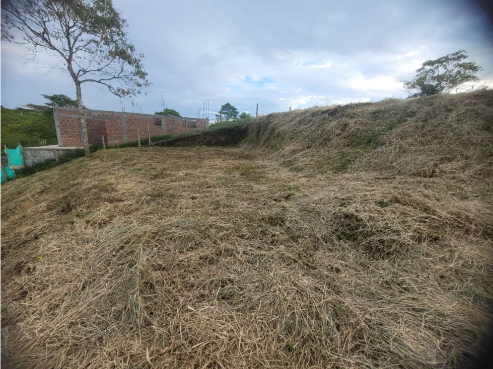 SE VENDE LOTE CAMPESTRE EN VALLE DEL CAUCA - 3