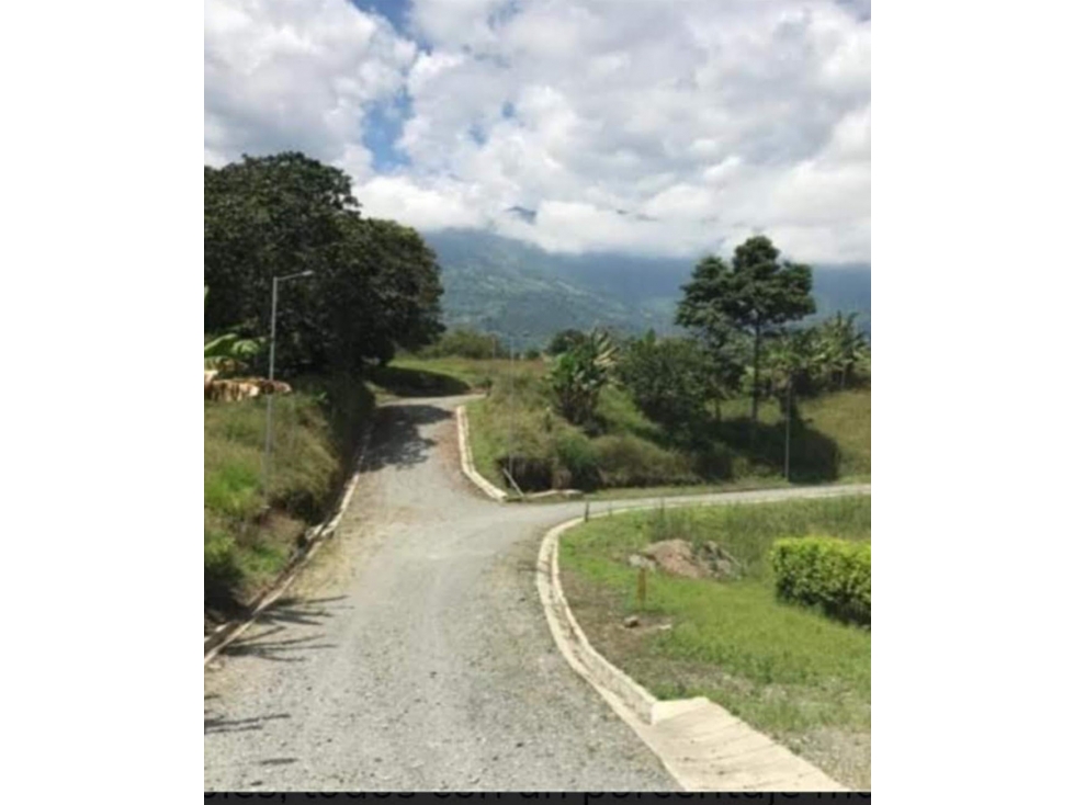 SE VENDE LOTE CAMPESTRE CONJUNTO RESIDENCIAL, CALARCA - 2