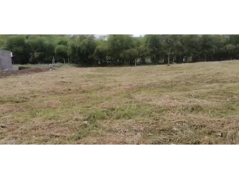 SE VENDE LOTE CAMPESTRE EN SECTOR CERRITOS PEREIRA — foto 3