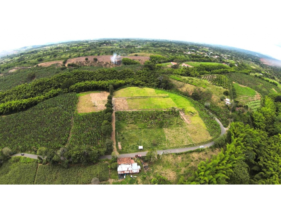VENTA LOTES PROYECTO KERMAN, QUIMBAYA QUINDIO - 3
