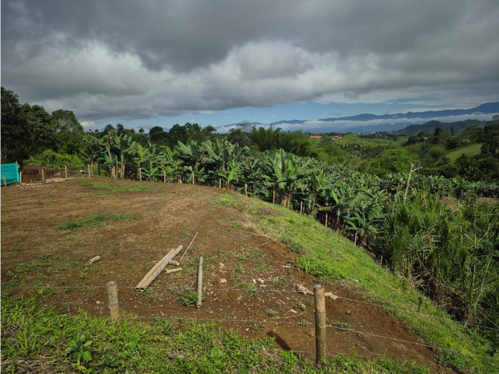 SE VENDE LOTE CAMPESTRE SECTOR CRUCERO COMBIA, PEREIRA RISARALDA