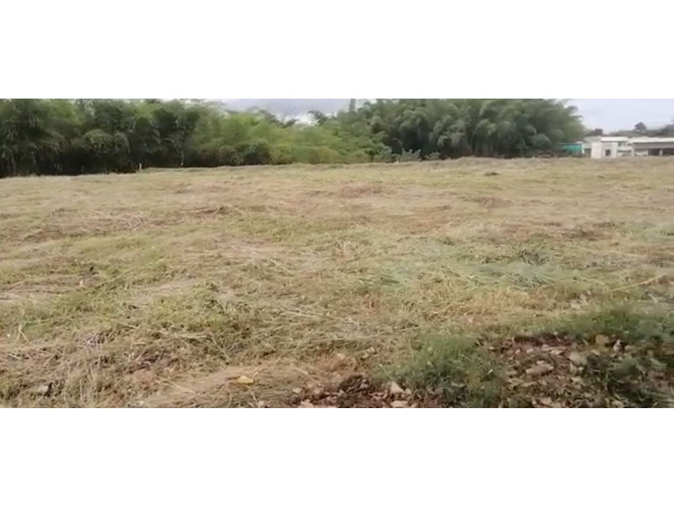 SE VENDE LOTE CAMPESTRE EN SECTOR CERRITOS PEREIRA — foto 4