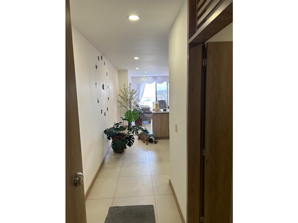 SE VENDE APARTAMENTO EN SECTOR UNICENTRO ARMENIA QUINDÍO — foto 4