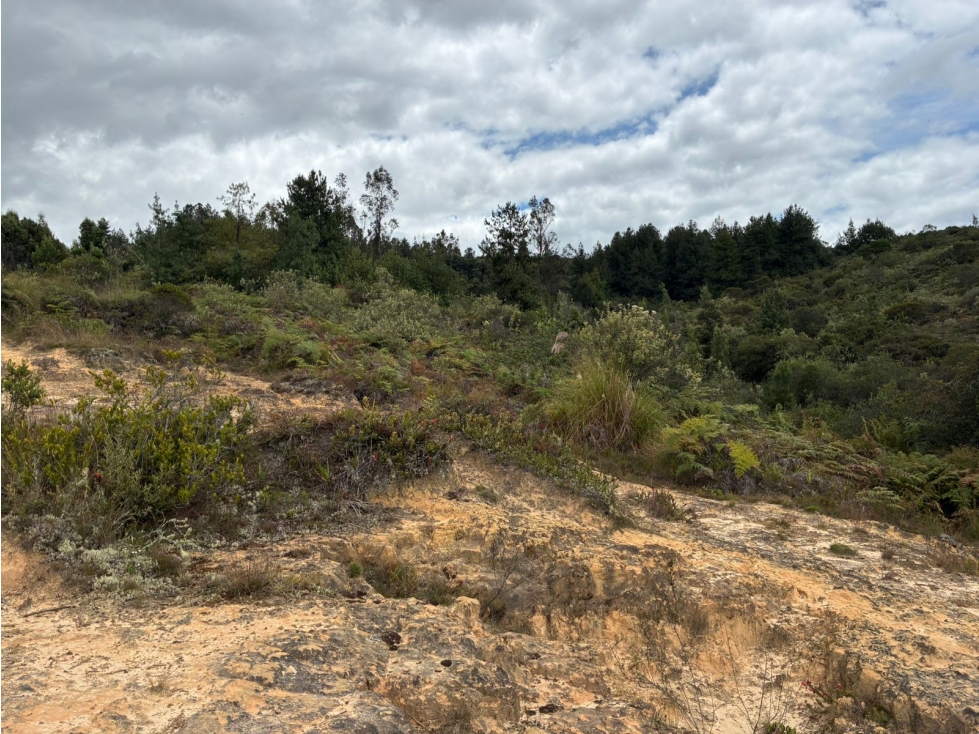 SE VENDE LOTE EN TUTA BOYACA - 5