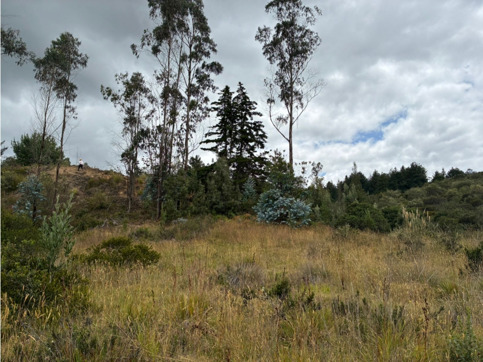 SE VENDE LOTE EN TUTA BOYACA - 6