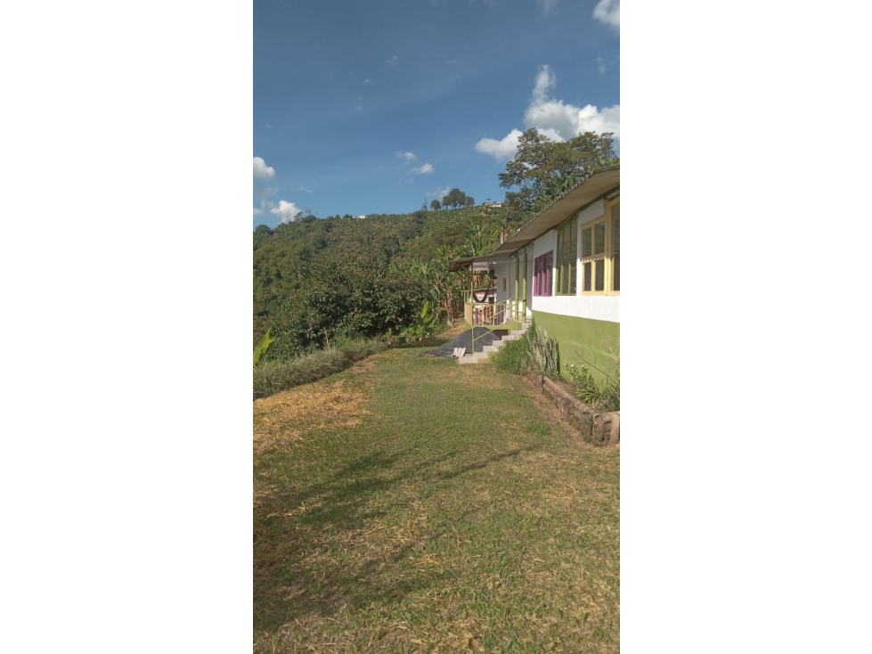 Se Vende Finca En Buenavista - Quindío - 3