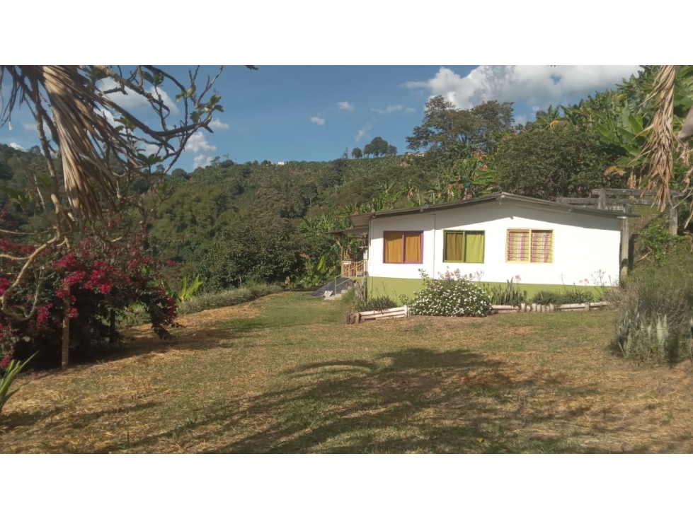 Se Vende Finca En Buenavista - Quindío - 2