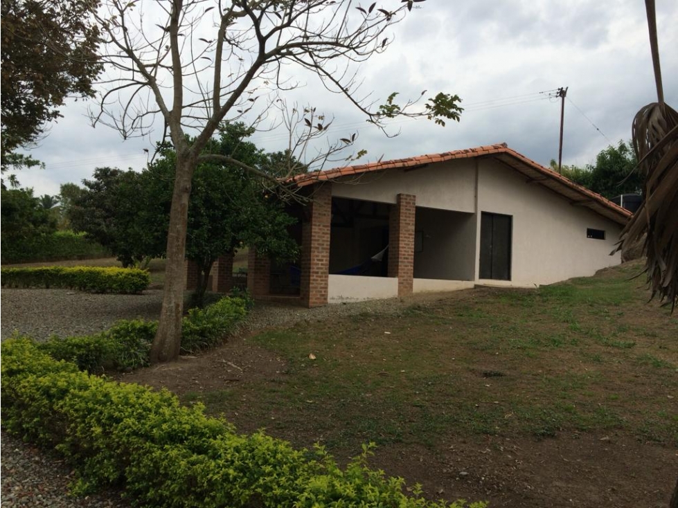 Se vende Finca En Caicedonia - Valle Del Cauca - 5
