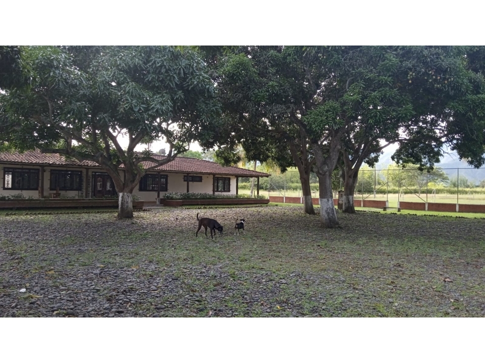 Se Vende Finca En Roldanillo - 1