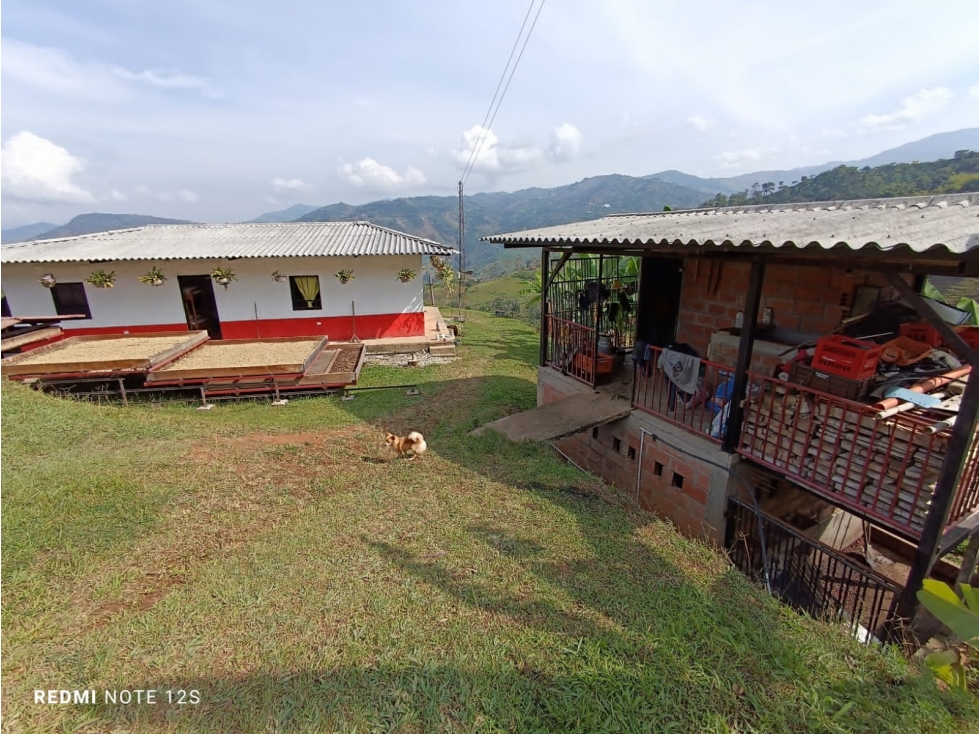 Se Vende Finca Con Dos Casas, Salamina, Caldas. - 4