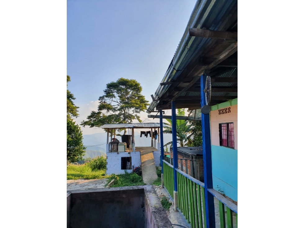 Se vende Finca en Ibagué Tolima - 2
