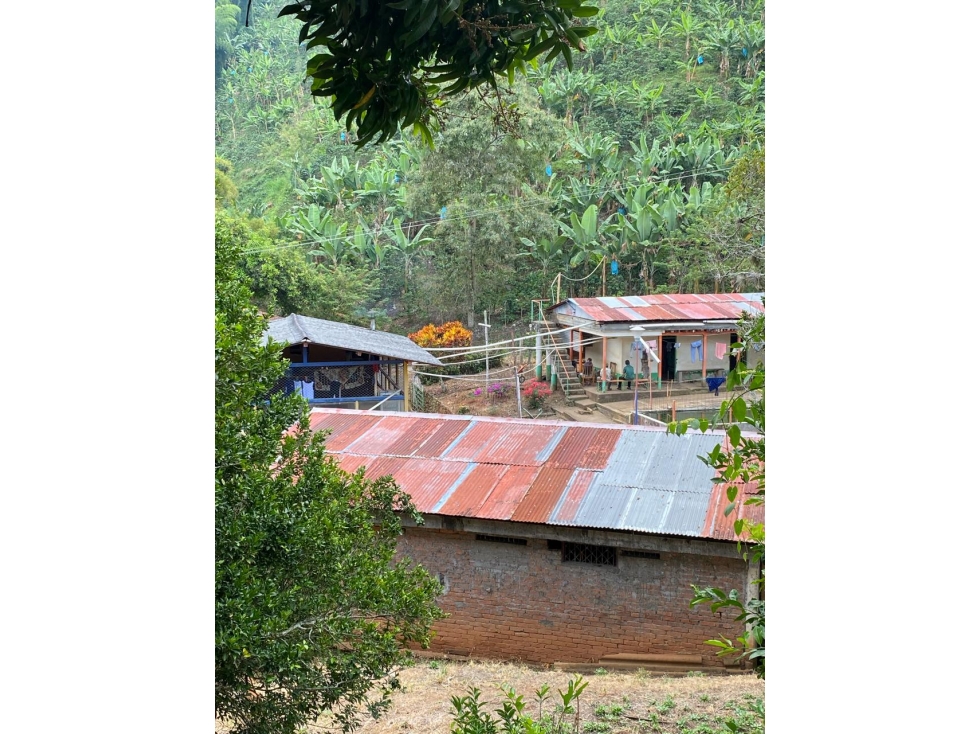 Se vende Finca En Caicedonia - Valle Del Cauca - 2